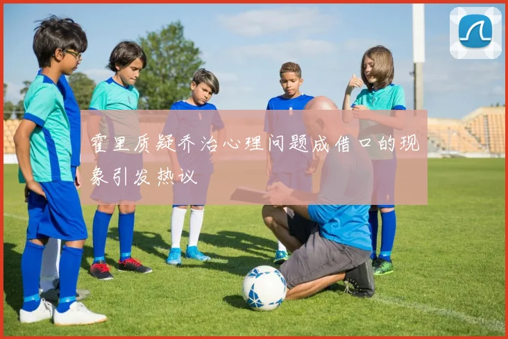 霍里质疑乔治心理问题成借口的现象引发热议