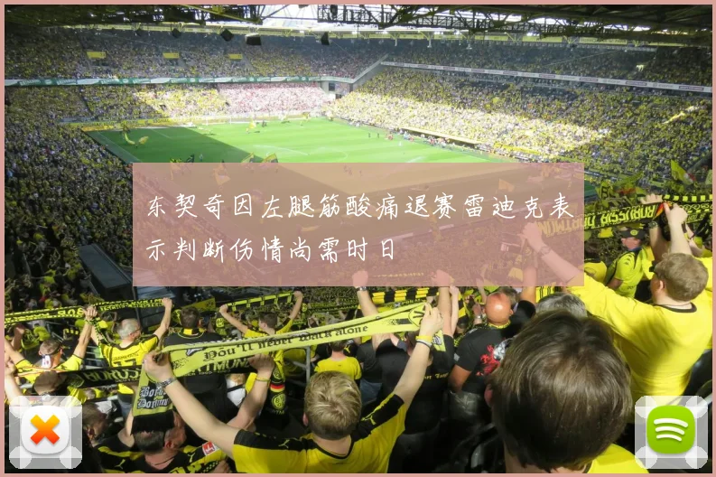 东契奇因左腿筋酸痛退赛雷迪克表示判断伤情尚需时日
